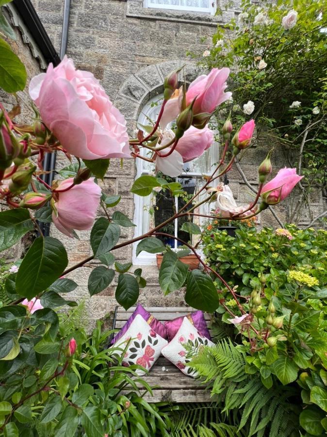 Estoril Bed & Breakfast Hikkaduwa Dış mekan fotoğraf