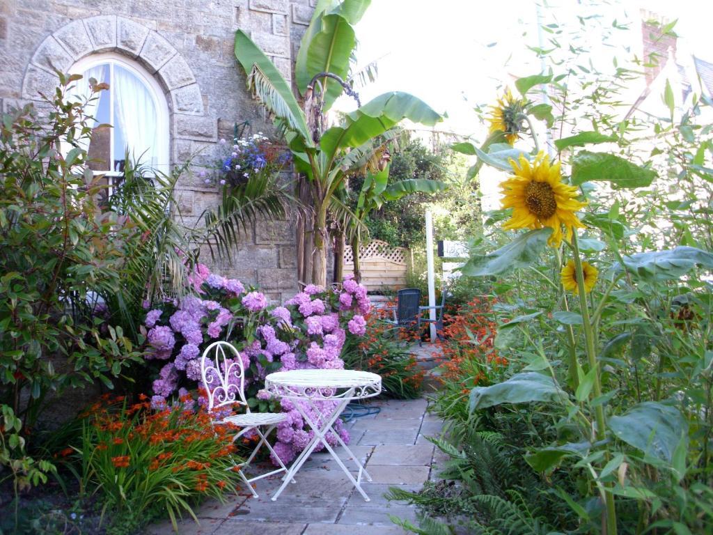 Estoril Bed & Breakfast Hikkaduwa Dış mekan fotoğraf